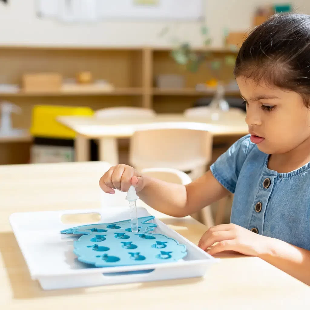 Ideal_Montessori_practical